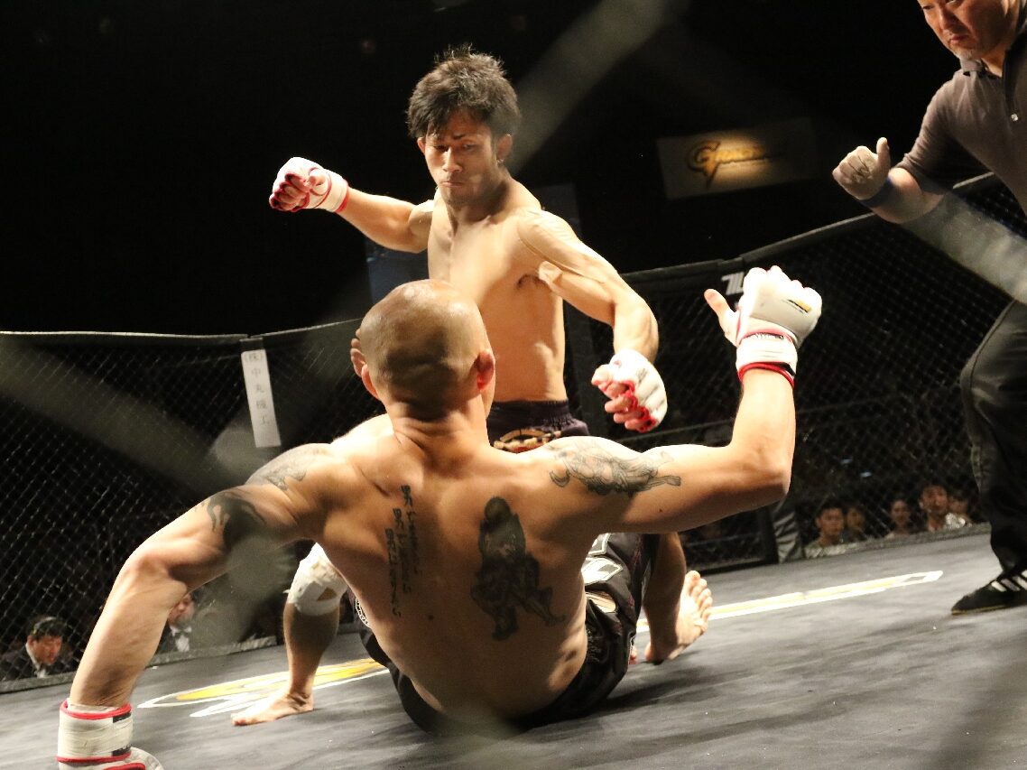 Fighting Styles Way Of The Fighter