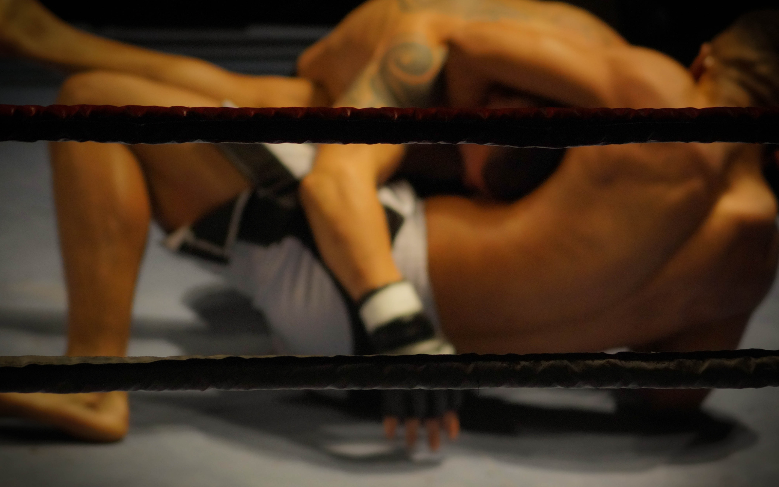 UFC and ONE Championship